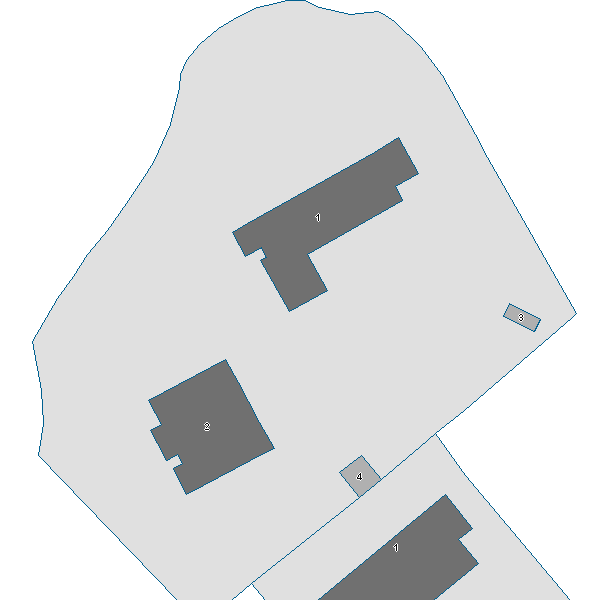 Estratto scheda