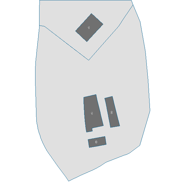 Estratto scheda