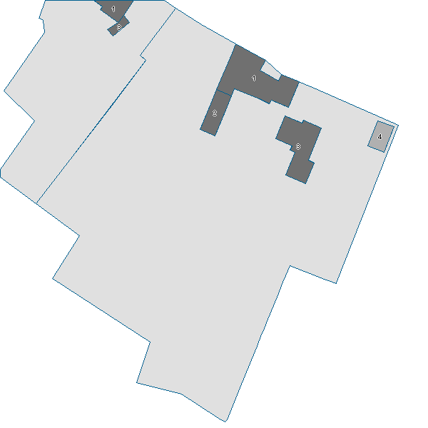 Estratto scheda